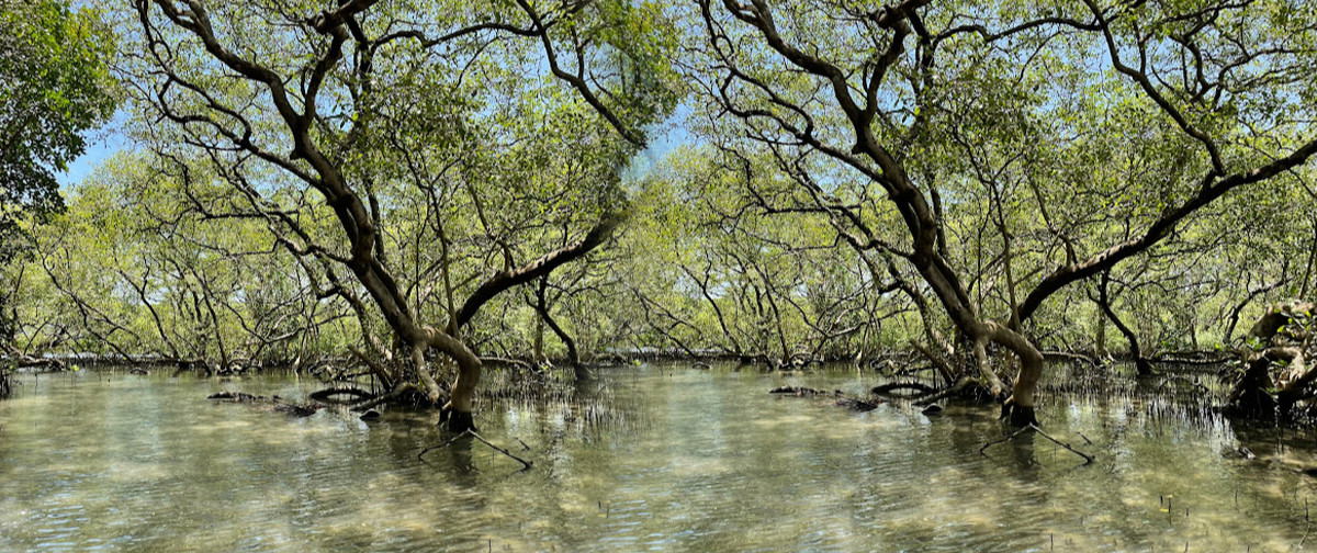 Kadalundi, Chaliyam