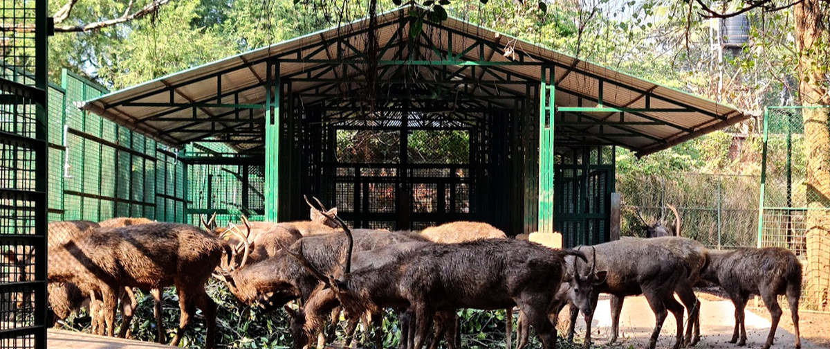 Thrissur Zoo