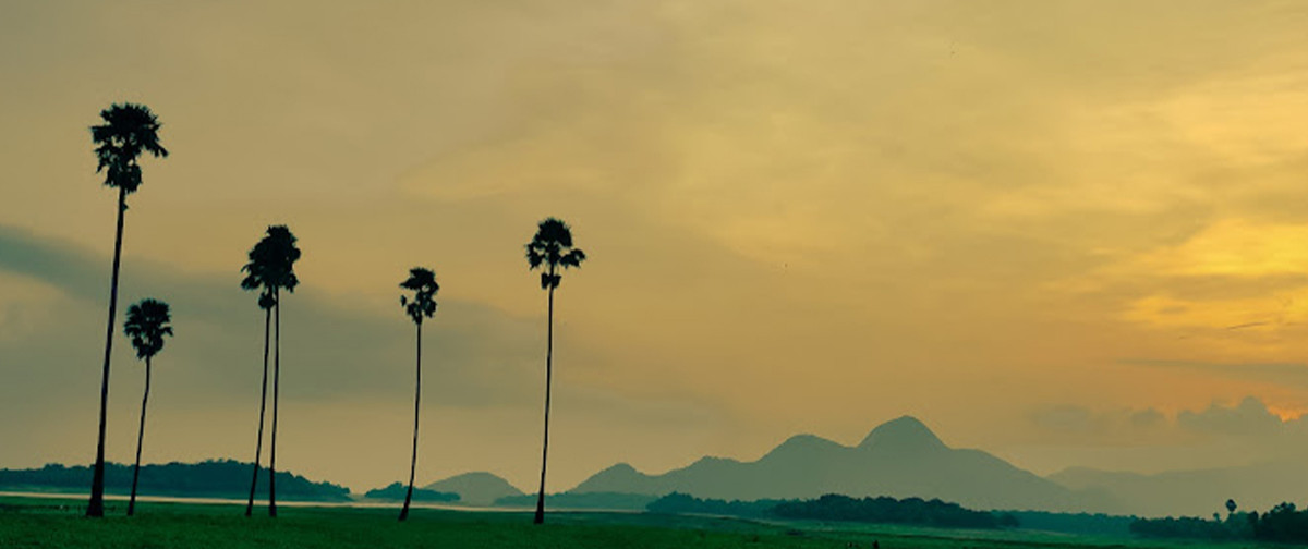 Kava View Point 