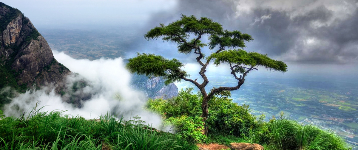  Nelliyampathy Hills