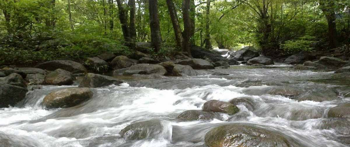 Adyanpara Waterfalls