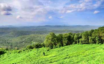 Arimba Hills (Mini Ooty)