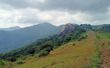 Pakshipathalam