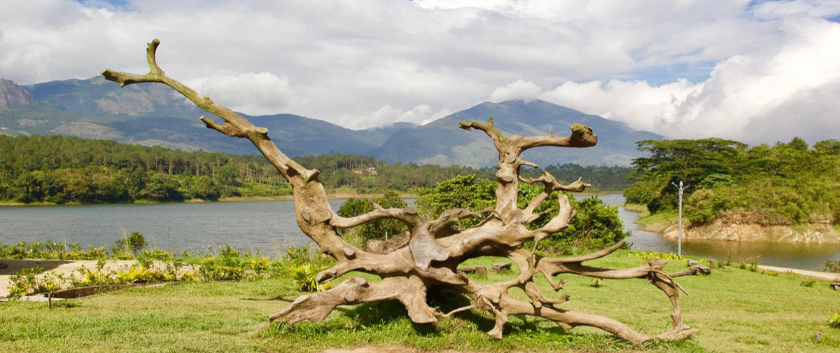 Anayirankal Dam Reservoir