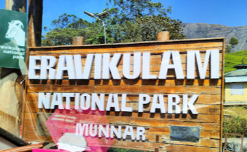 Eravikulam National Park